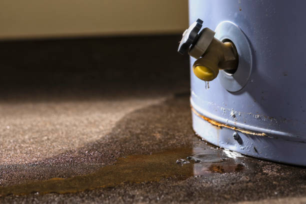 Best Water damage restoration near me  in Saegertown, PA