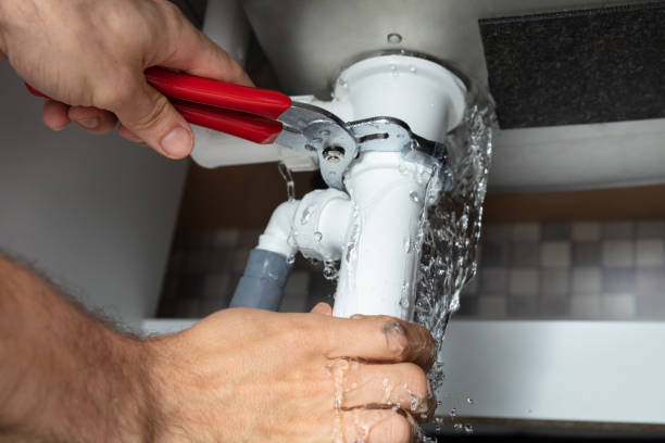 Best Carpet water damage restoration  in Saegertown, PA