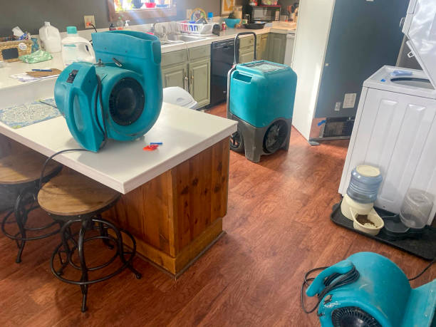 Best Water damage cleanup near me  in Saegertown, PA