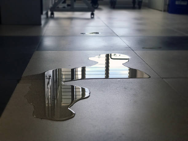 Best 24/7 water damage repair  in Saegertown, PA