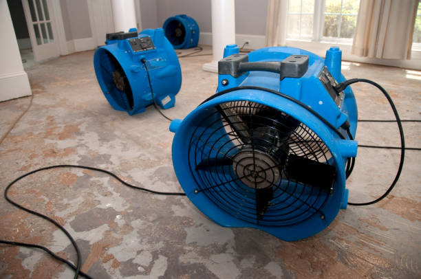 Best 24/7 water damage repair  in Saegertown, PA