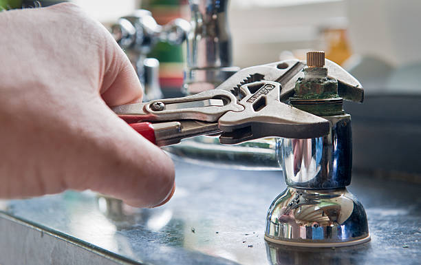 Best Local water damage restoration  in Saegertown, PA