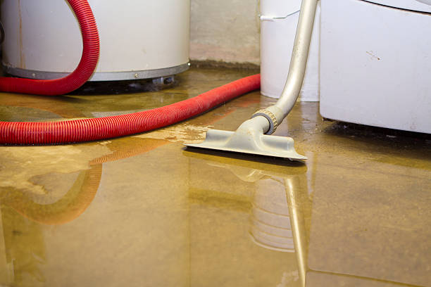 Carpet water damage restoration in Saegertown, PA