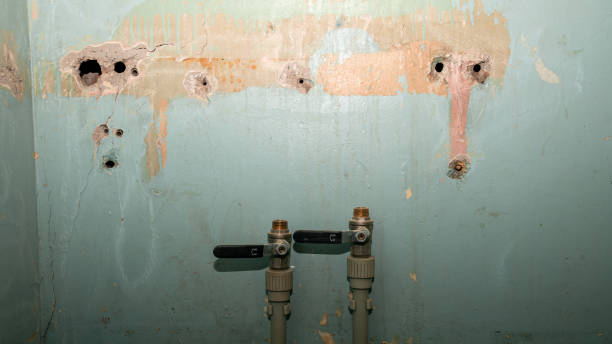 Best Water damage contractors near me  in Saegertown, PA