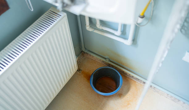 Best Sewage cleanup and water damage restoration  in Saegertown, PA