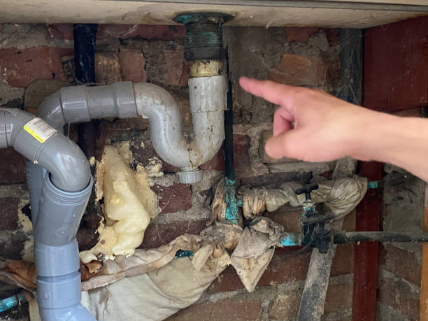 Best Water damage repair service  in Saegertown, PA